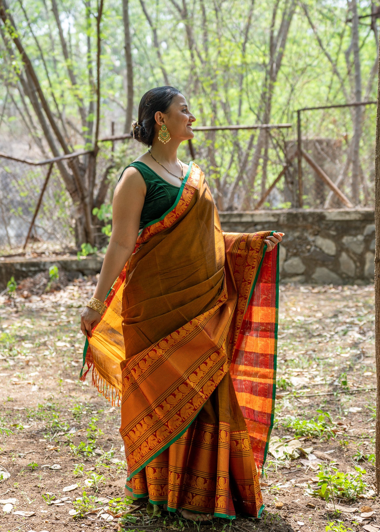 Narayanpeth Splendor Saree Bronze