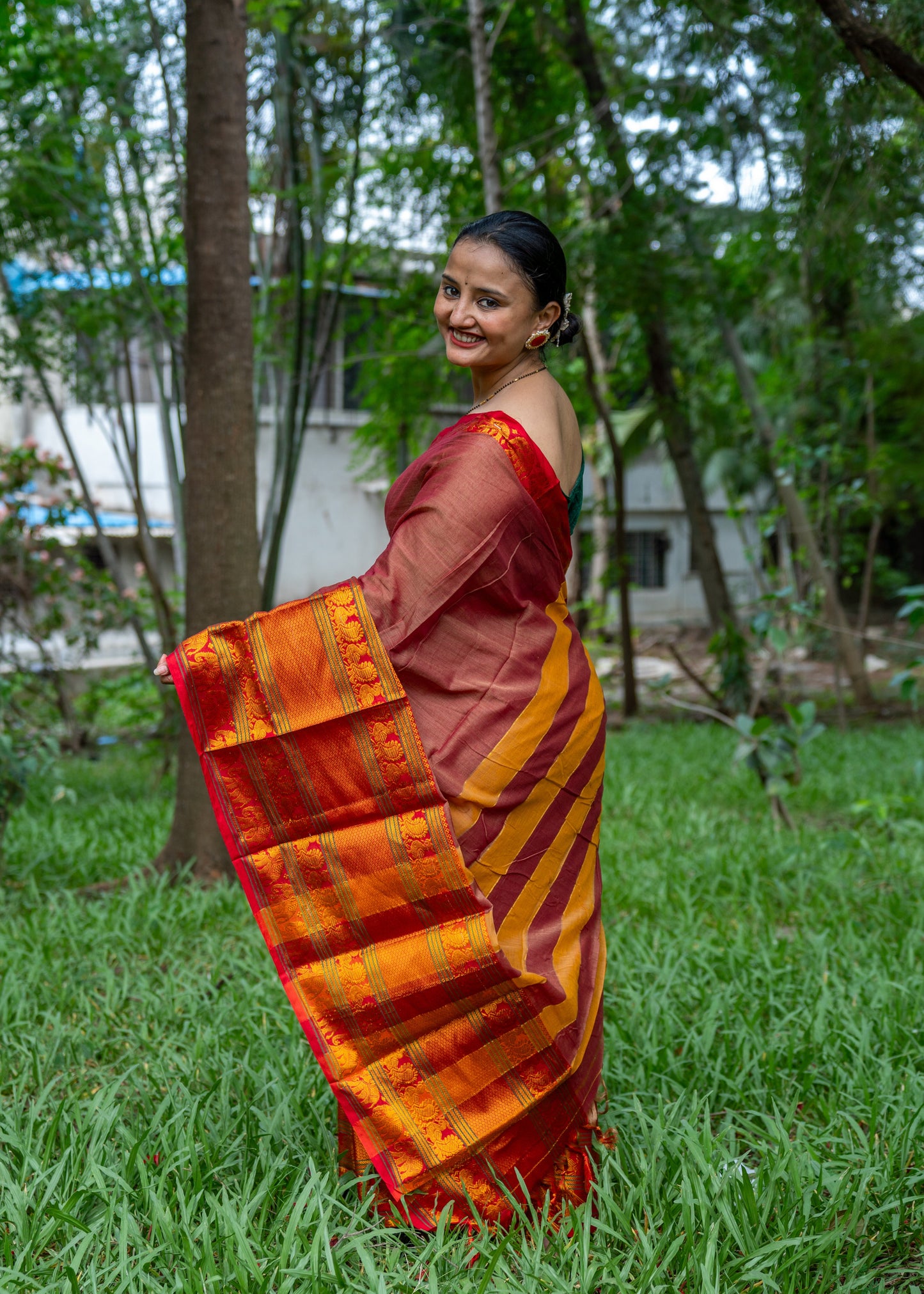 Narayanpeth Splendor Saree Brown